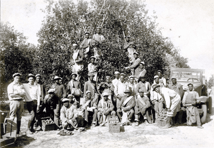 Grove Workers c 1925